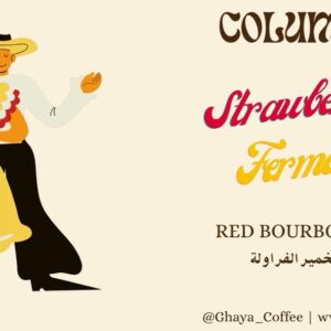 كولومبيا 🇨🇴 تخمير فرولة 🍓