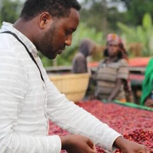 ETHIOPIA 🇪🇹 Uraga ( filter )
Uraga- Raro Nensebo