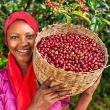 ETHIOPIA Sakicha Guji ( omni )