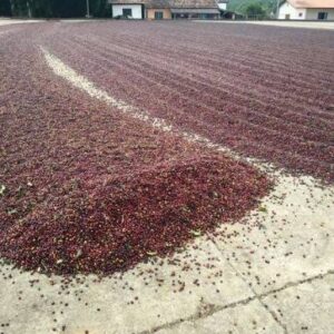 Brazil Campos Altos-Natural ( espresso)